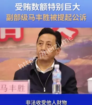 马丰胜受贿被公诉